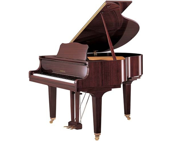  - 6452 за 0 грн. | 4Club